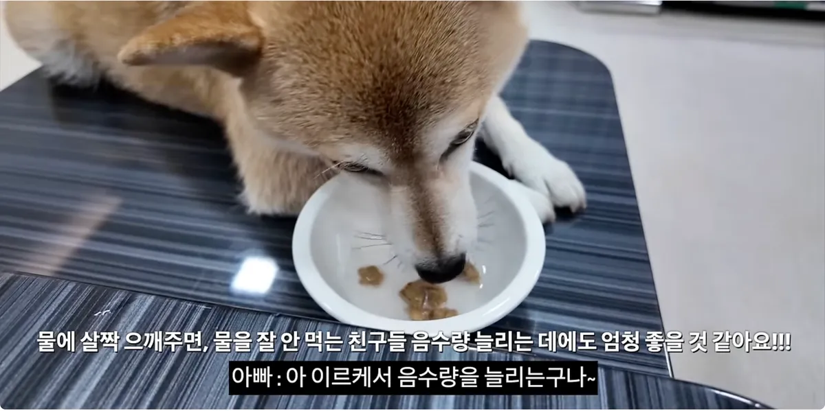 https://www.youtube.com/watch?v=ijWR2bddK_k&t=3s